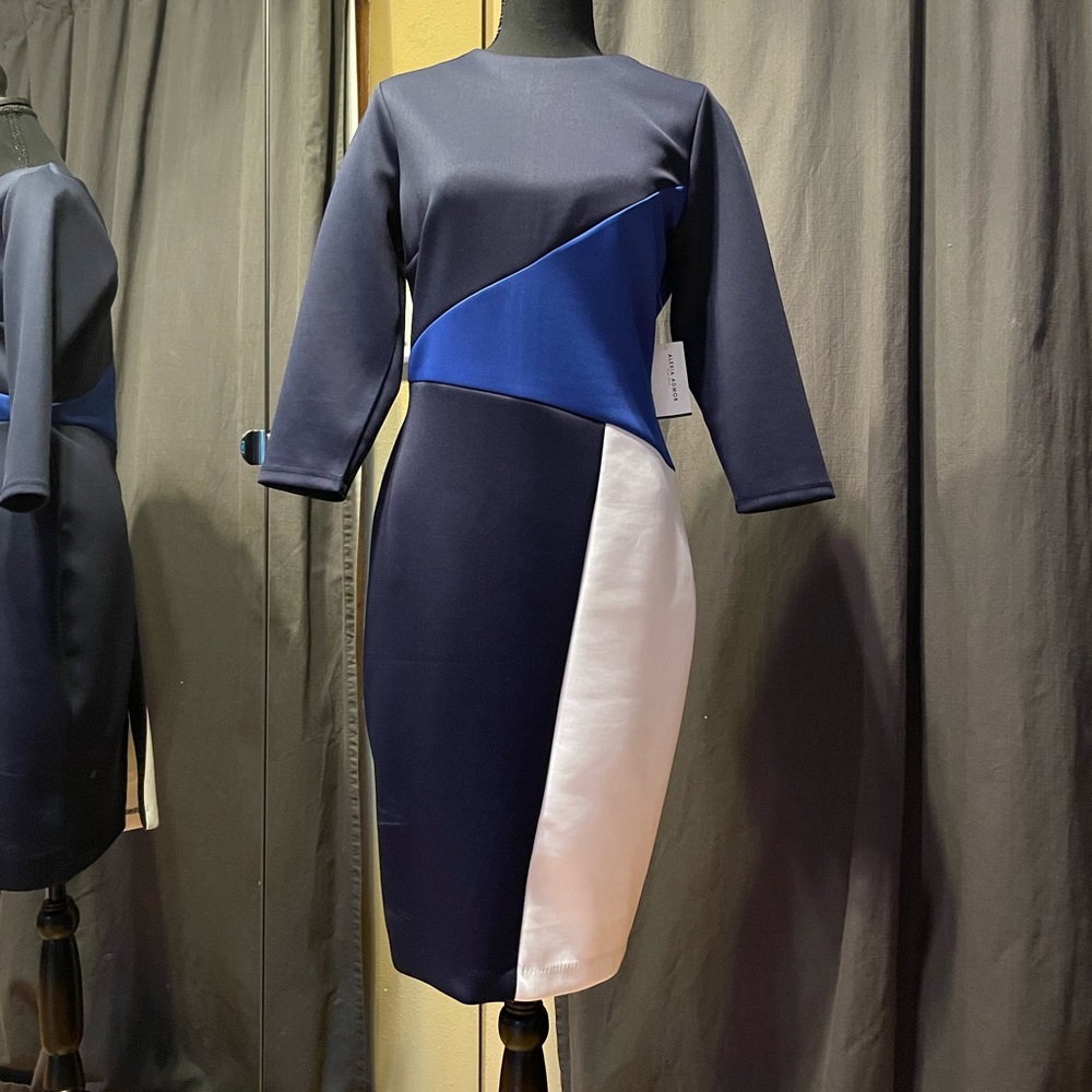 Colorblock Alexia Admor dress